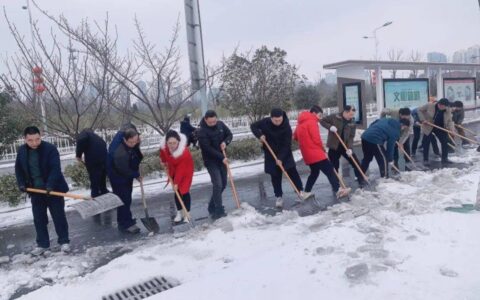 让寒潮变“暖流”！六安这群“志愿红”很暖