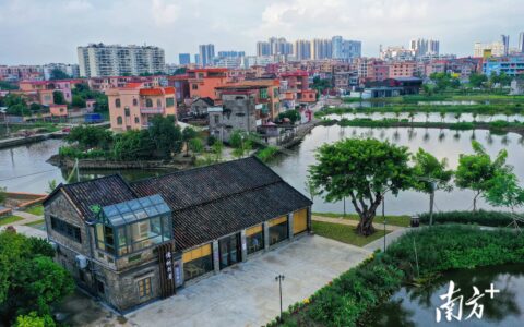 九江下西：西江边“作画”，绘出岭南水乡新图景