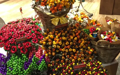 去肯尼亚旅行是一种什么体验？