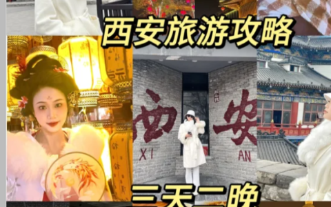 西安本地纯玩团3天2晚多少钱？精致小团当地旅行社报价