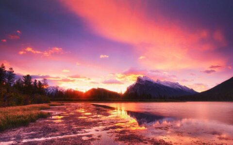 百万葵园门票团购