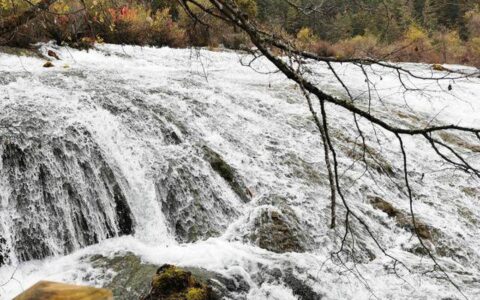 去九寨沟有必要跟团吗？九寨沟三日游最佳安排，玩转四川九寨沟！