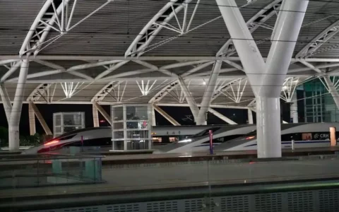 “钢铁巨龙”趁夜行 增添团聚与祥和——珠三角“夜高铁”采访见闻