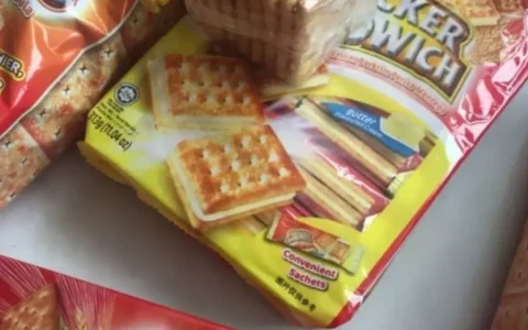 马奇新新马来西亚进口奶油夹心苏打饼干