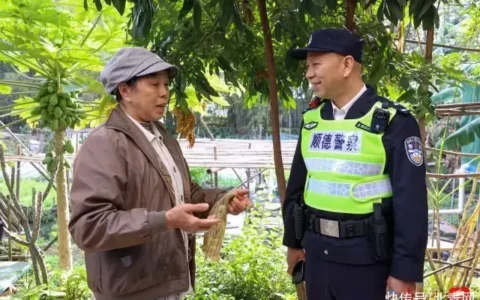 佛山顺德：警务“小网格”托起辖区“大平安”
