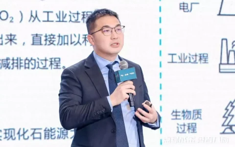 伦敦大学学院基建可持续转型长聘教授梁希：CCUS投融资活动回顾与展望｜WISE·双碳大会