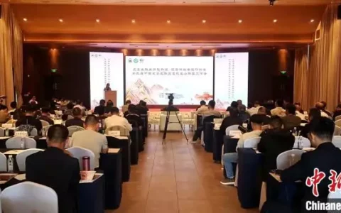 全国60个道教名山代表齐聚江西灵山 探索产业发展新路径