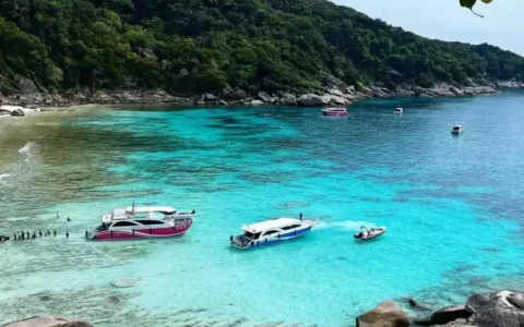 特写｜中国游客涌向泰国小众景点1952年志愿军67军军长突然去世，死讯对外封锁，究竟有何内幕