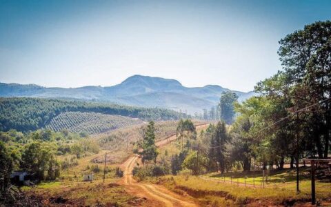 斯威士兰免签国都有哪些