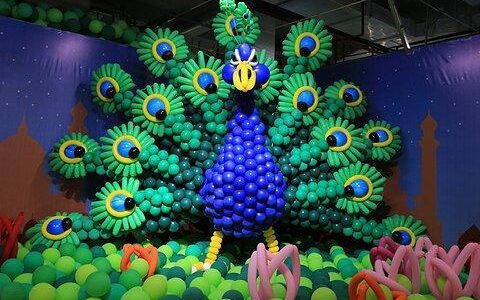 邮轮旅游丨厦门家庭亲子游