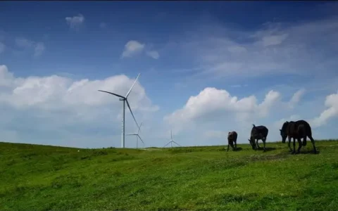 贵州旅游景点有哪些推荐？