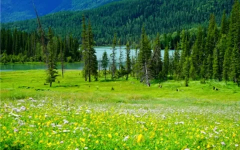 新疆旅游十日费用多少，新疆10日游价格（包含攻略和费用）