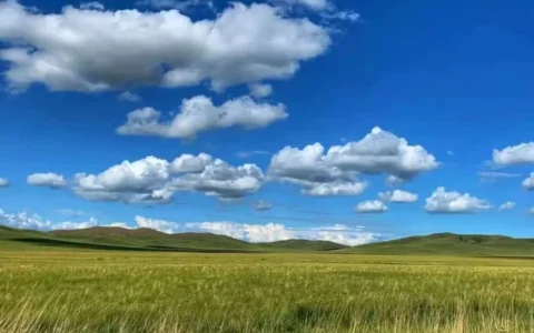 天津公司团建旅行丨坝上草原+张北草原丨云上天路越野丨七彩漂流丨真人cs丨篝火晚会丨周末2天就够了