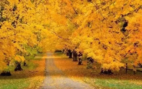 国庆后适合秋游的小众旅行地！