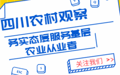 泸州|大棚草莓冬春季采摘游主打品牌