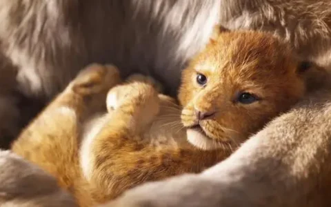 到非洲以后，你有哪些既有认知被打破？