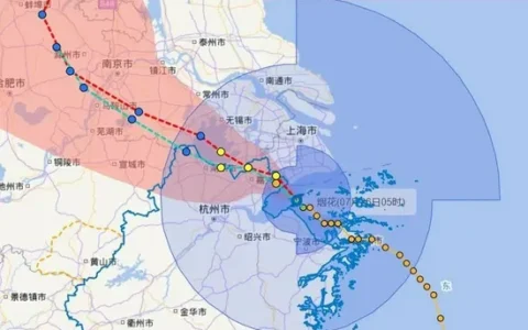 昨晚杭州一村整村转移！今天机场325架航班取消