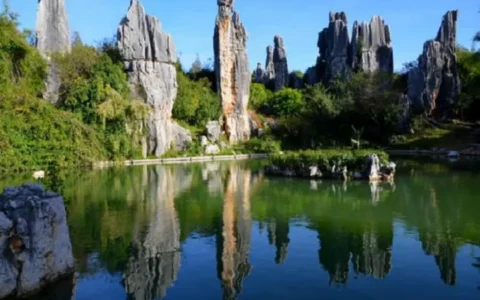 忻州市国际旅行社公司优秀企业推荐