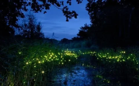 马来西亚沙巴旅游景点推荐