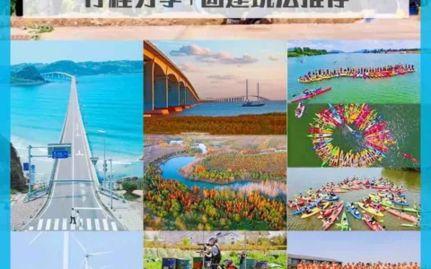 上海团建崇明岛两天一晚行程分享+团建玩法推荐