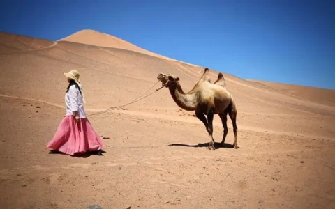 两个人去新疆旅游大概需要多少钱，新疆旅游人均消费（去新疆游玩人均3000左右）