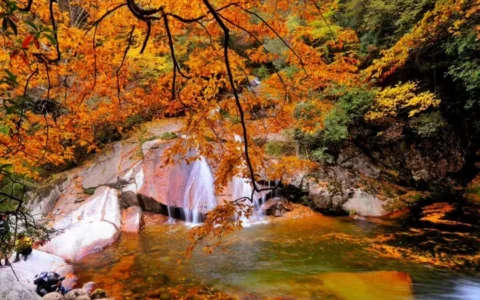 光雾山赏秋最全指南！带你领略“中国红叶第一山”的红叶盛宴