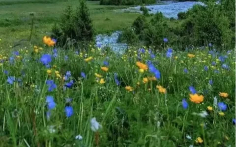 新疆玩8天一个人要多少钱，新疆8日游报团大概多少钱？