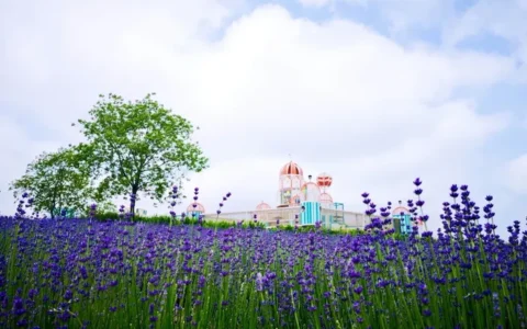 上海有什么好玩的亲子乐园？