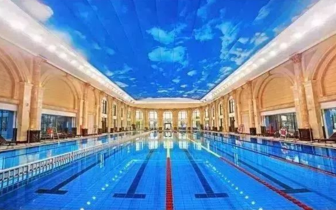 这里的生态环境一级棒，酒店地处粤港澳大湾区“后花园“