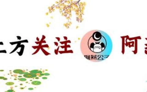 阿布扎比8大必游景点盘点 丨阿联酋首都