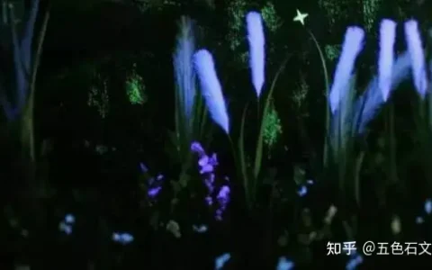 苏轼咏洋州之《过溪亭/披锦亭/禊亭/菡萏轩》赏析