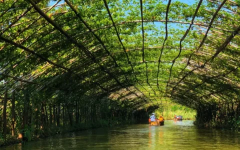 原生态的岭南水乡：小众景点，世外仙境，撑船出入，仿若隔世