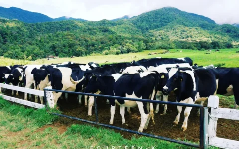 求沙巴当地旅行攻略？