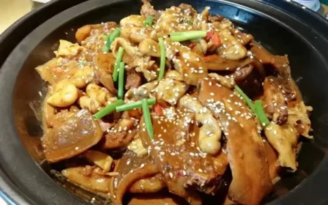 武汉200家甲鱼店，吃甲鱼选哪家？