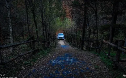 一人一唐，自驾洛南金丝峡，瞰五彩斑斓深秋神瀑峡沟