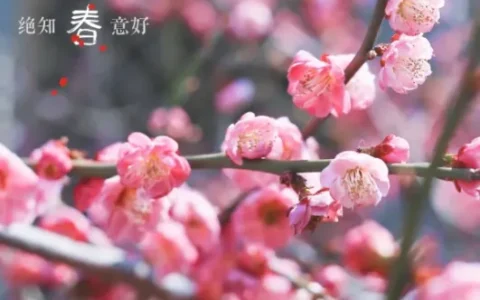 争创天府旅游名县｜再见2022，细数那些时光里的小美好