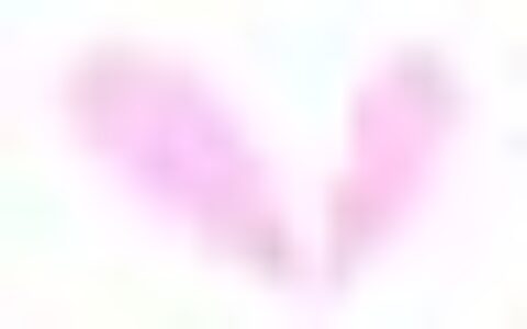 五一打算去厦门玩两天，有哪些「不能错过的地方」?