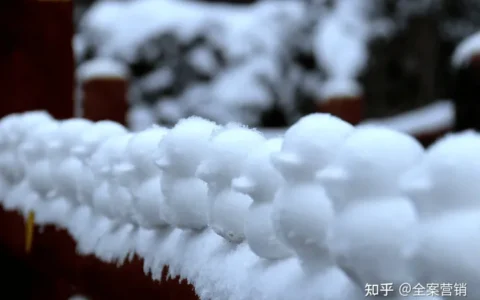 争创天府旅游名县｜2023开年旅行，来华蓥赴一场冬日风雅之约