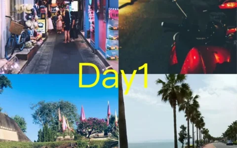 各位知乎大神来给推荐一下去厦门的攻略？