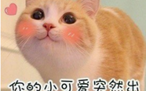 成都周边8大温泉泡汤好去处，团建年会亲子情侣打卡地！