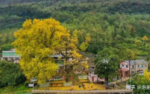 争创天府旅游名县｜【来华蓥寻味田园】觅一方净土，享片刻安然