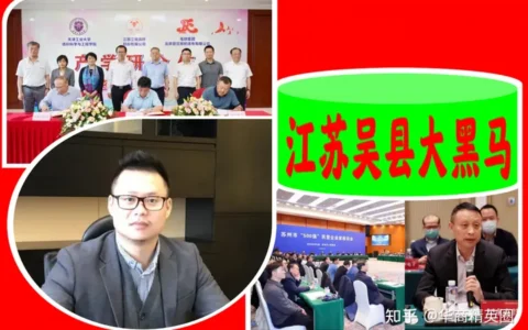 江苏“吴县大黑马”：16岁闯社会，促国企改制民企，年入128.71亿