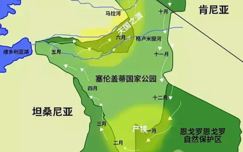 追逐角马迁徙的足迹——非洲的肯尼亚之旅