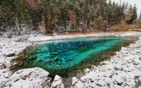 九寨沟跟团游套路解析