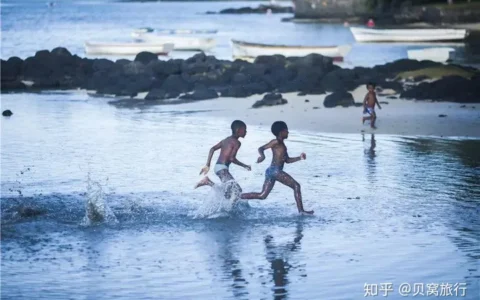 贝窝：团建浪翻天丨畅爽一夏，戏水玩酷欢乐水魔方