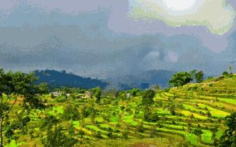 怎么看来看去，看到的乡村都是一个样？