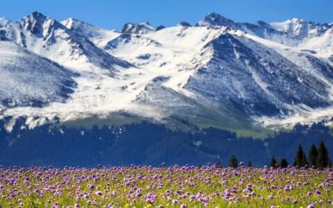 主播邀您去旅行——甘青大环线（青海+甘肃）电台高端定制8天7晚奢华游