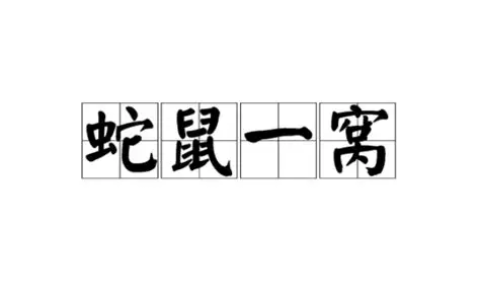 阴沟里滋生的同类（蛇鼠一窝）