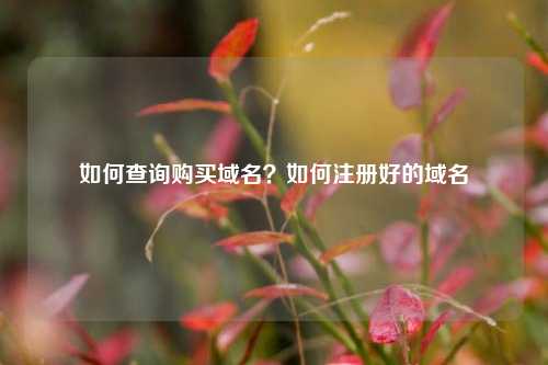 如何查询购买域名？如何注册好的域名