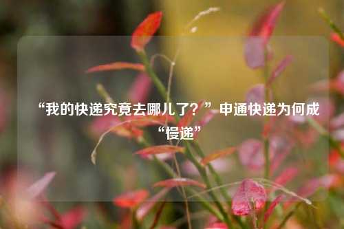 “我的快递究竟去哪儿了？”申通快递为何成“慢递”